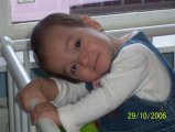 252-00255.jpg.small.jpeg