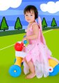377-C09-2633.JPG.small.jpeg