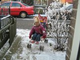 395-IMG_0533.jpg.small.jpeg