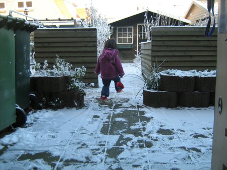 397-IMG_0535.jpg.medium.jpeg