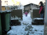 398-IMG_0536.jpg.small.jpeg
