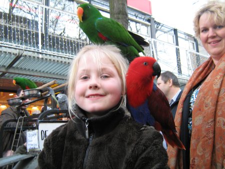 036-IMG_0573.JPG.medium.jpeg