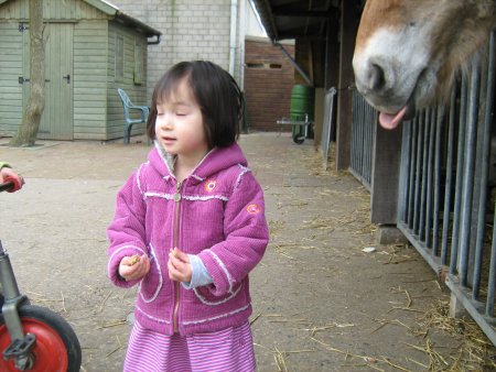 052-IMG_0592.JPG.medium.jpeg