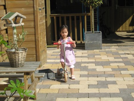 102-IMG_0681.JPG.medium.jpeg