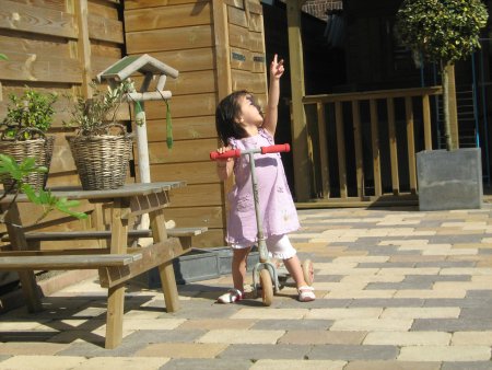 103-IMG_0682.JPG.medium.jpeg