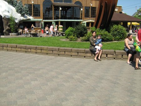 125-IMG_0718.JPG.medium.jpeg