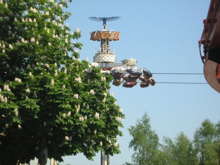 126-IMG_0720.JPG.medium.jpeg