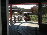130-IMG_0728.JPG.small.jpeg