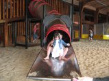 131-IMG_0729.JPG.small.jpeg