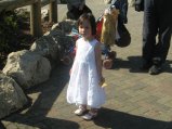 138-IMG_0739.JPG.small.jpeg