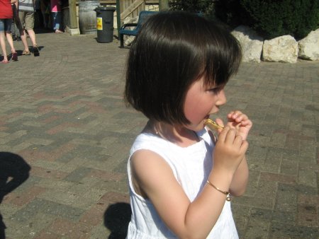 140-IMG_0742.JPG.medium.jpeg