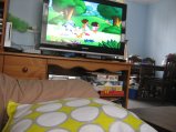 070-IMG_2290.JPG.small.jpeg