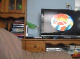 079-IMG_2299.JPG.small.jpeg