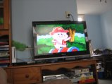 084-IMG_2304.JPG.small.jpeg