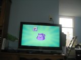 113-IMG_2351.JPG.small.jpeg