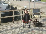 132-IMG_2533.JPG.small.jpeg