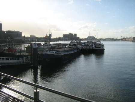133-IMG_2534.JPG.medium.jpeg
