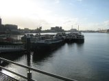 133-IMG_2534.JPG.small.jpeg