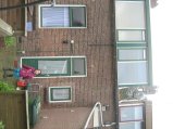 136-IMG_2537.JPG.small.jpeg