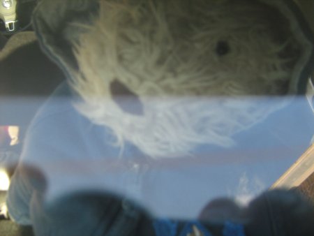 148-IMG_2552.JPG.medium.jpeg