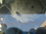 148-IMG_2552.JPG.small.jpeg