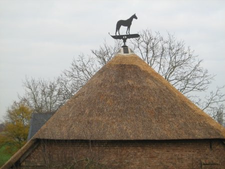 149-IMG_2553.JPG.medium.jpeg