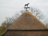 149-IMG_2553.JPG.small.jpeg