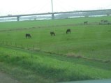 150-IMG_2554.JPG.small.jpeg