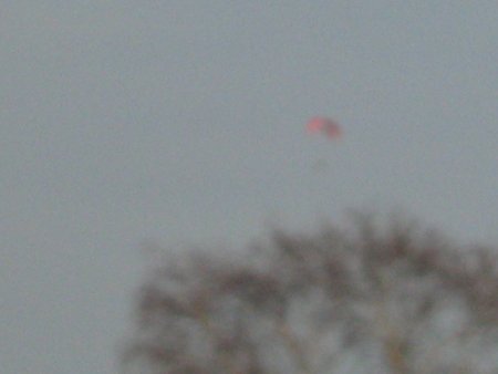 151-IMG_2555.JPG.medium.jpeg