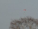 151-IMG_2555.JPG.small.jpeg