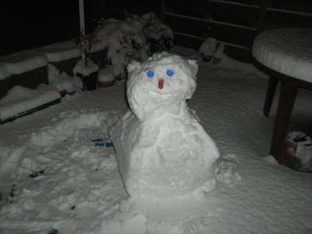 172-IMG_2598.JPG.medium.jpeg