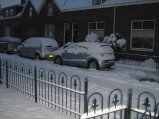 173-IMG_2599.JPG.small.jpeg
