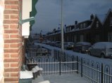 174-IMG_2600.JPG.small.jpeg