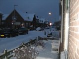 175-IMG_2601.JPG.small.jpeg