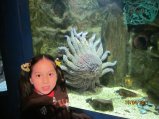 098-IMG_0030.JPG.small.jpeg