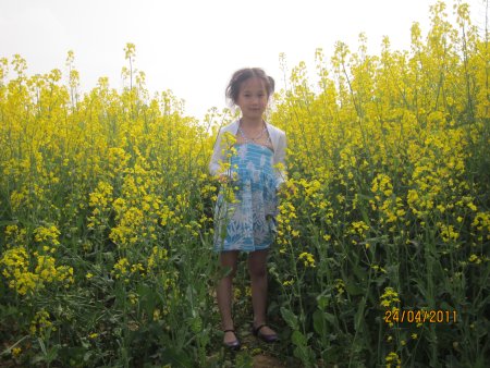 108-IMG_0088.JPG.medium.jpeg