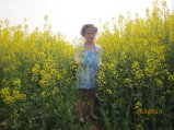 108-IMG_0088.JPG.small.jpeg