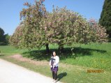 111-IMG_0092.JPG.small.jpeg