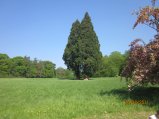 114-IMG_0097.JPG.small.jpeg