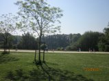115-IMG_0098.JPG.small.jpeg