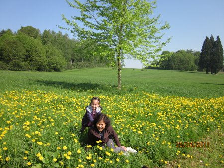 116-IMG_0099.JPG.medium.jpeg