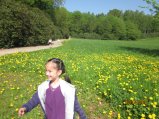 117-IMG_0100.JPG.small.jpeg