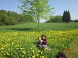 118-IMG_0101.JPG.small.jpeg