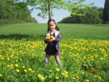 121-IMG_0106.JPG.small.jpeg