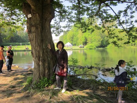 122-IMG_0107.JPG.medium.jpeg