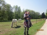 133-IMG_0121.JPG.small.jpeg