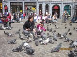 154-IMG_0184.JPG.small.jpeg