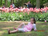 167-IMG_0221.JPG.small.jpeg
