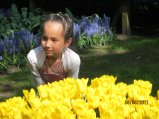 170-IMG_0238.JPG.small.jpeg