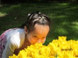 171-IMG_0240.JPG.small.jpeg